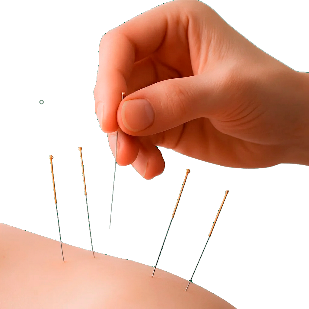 Hands Acupuntura